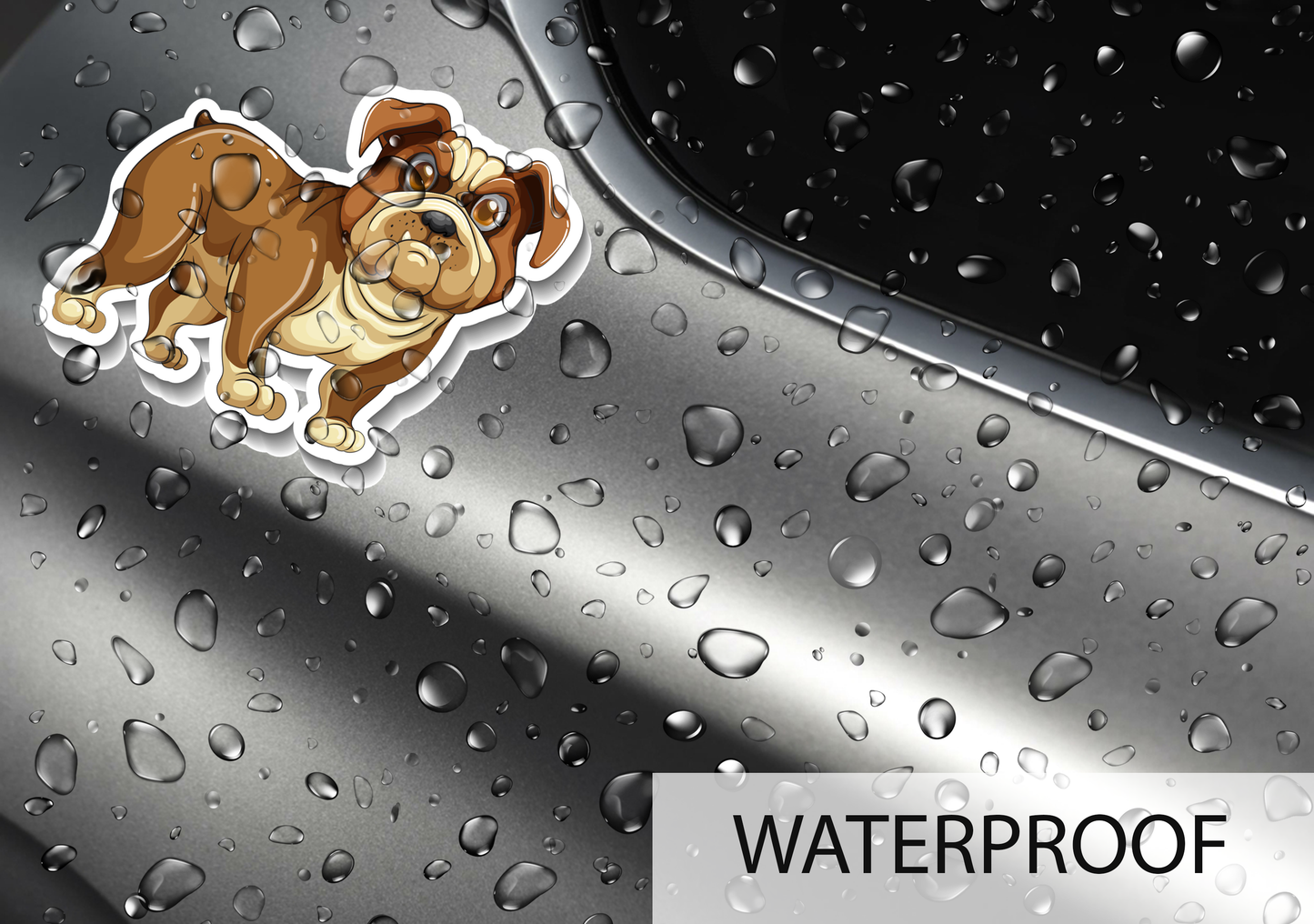 iberry's 50 pcs Stickers for Laptop Phones Computer Bicycle Luggage Scrapbooks Gadgets Waterproof Stickers|Stickers for Kids| Animals Stickers| Cute Animal Stickers-Set of 50 Stickers (10)