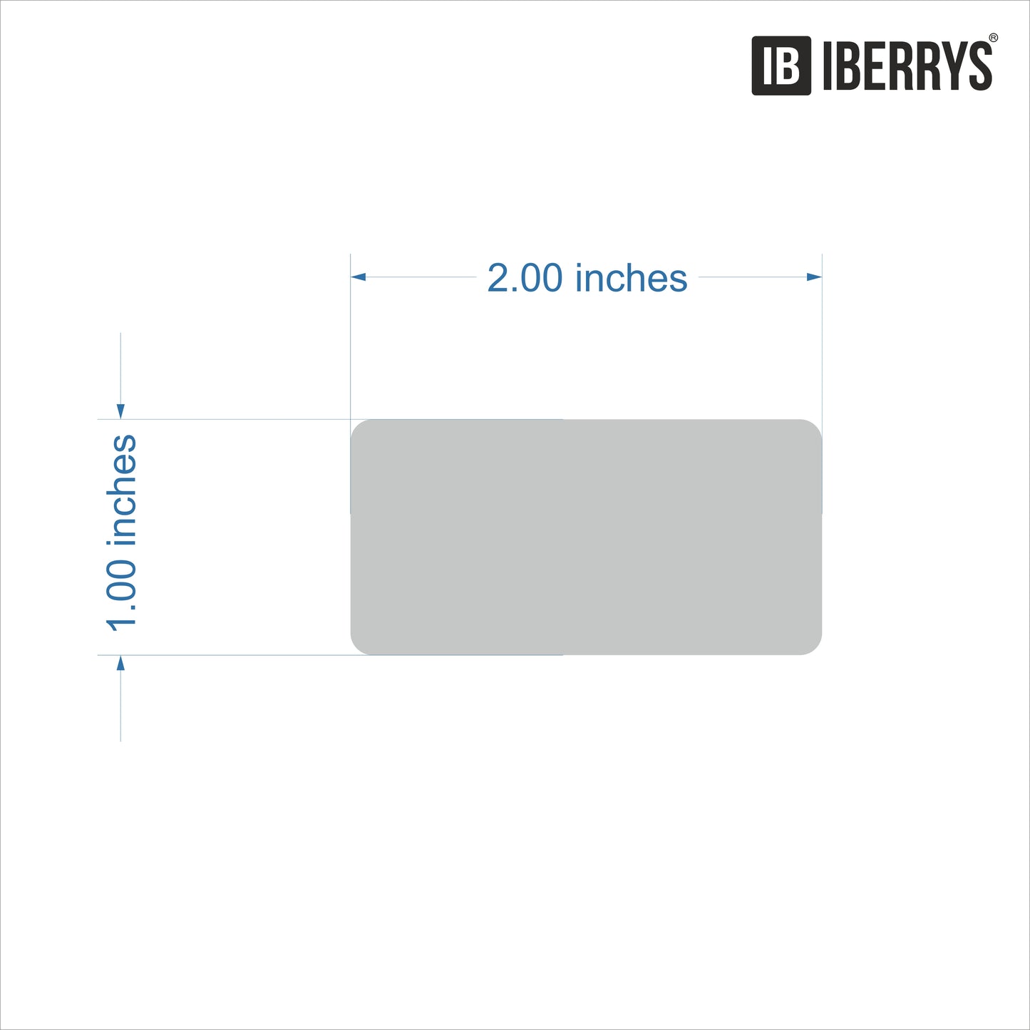 iberry's 2 x 1 Scratch Off Label Stickers|Silver Scratch Stickers for Baby Shower, Sale Events, Festival Offers, Sale Offers,Surprising |Round Shape Peel Off Scratch Stickers